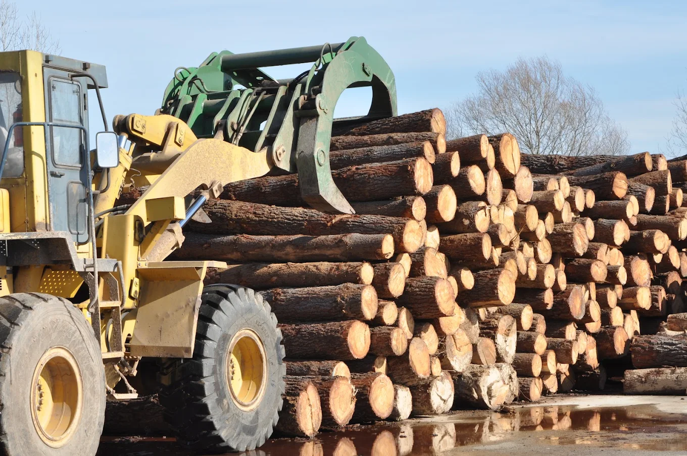 Bizon Kontrplak Fabrikası