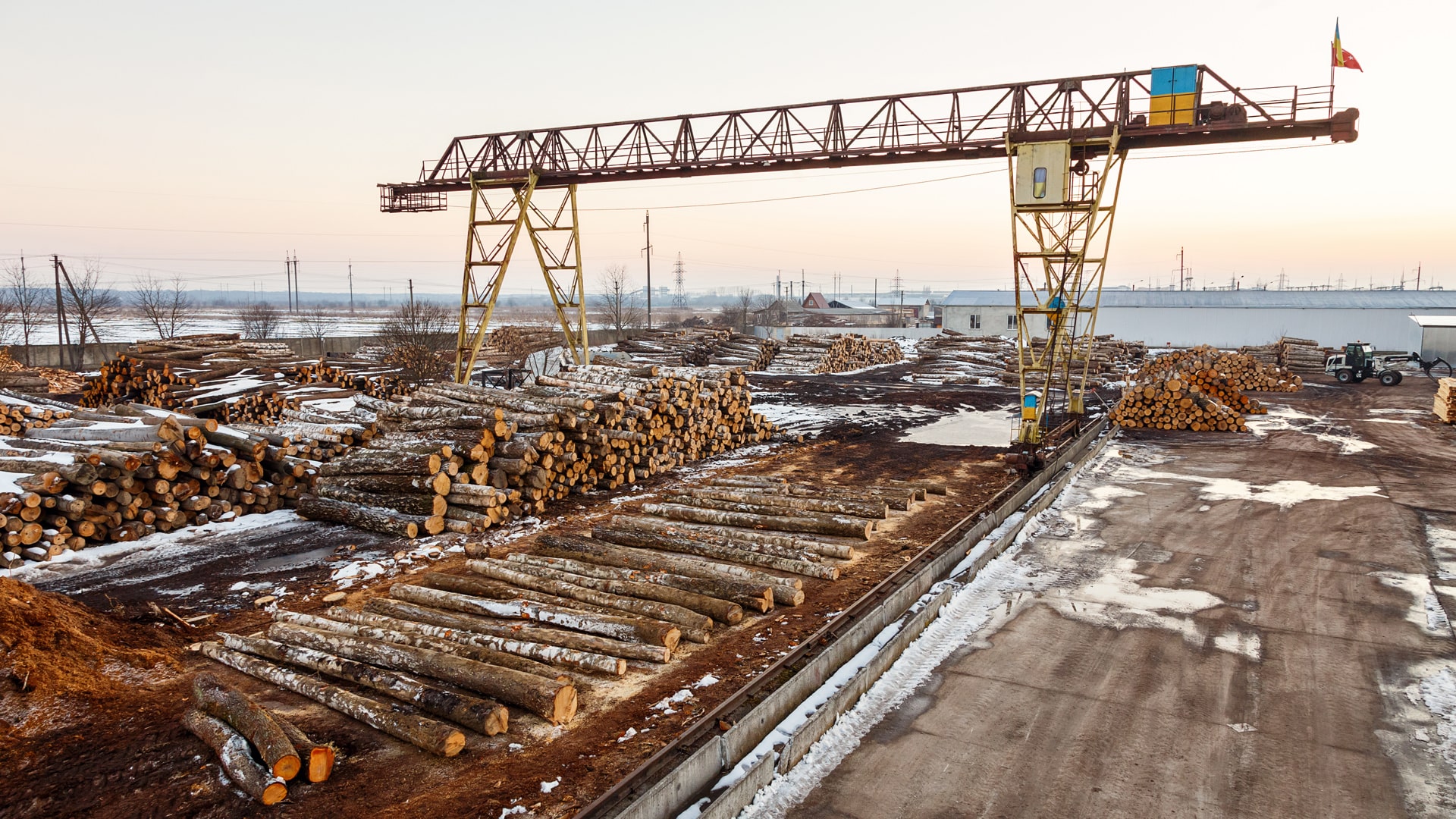 Uluslararası Kereste Tesisleri