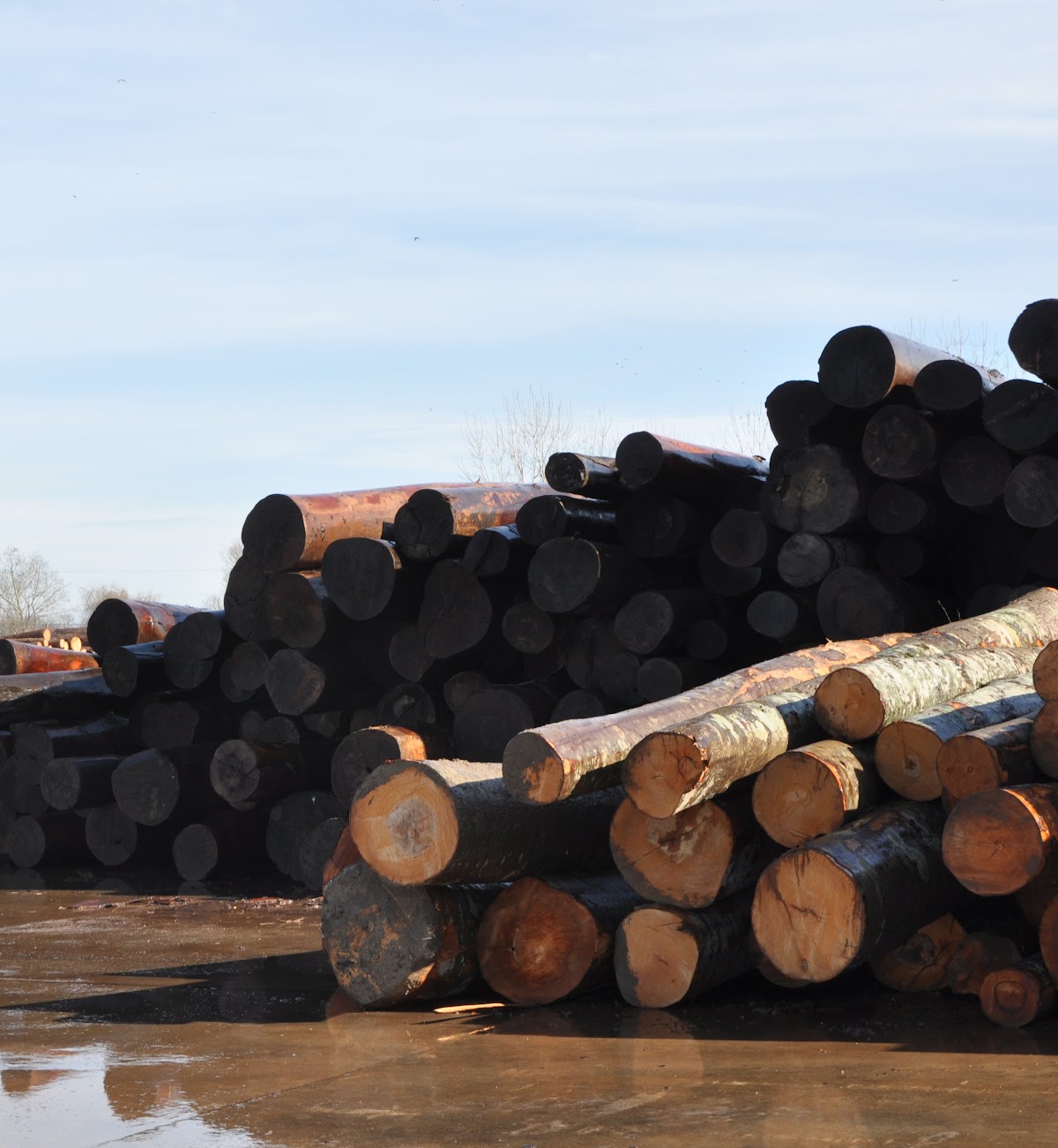 Dastaş Fabrika Kuruluş 1978